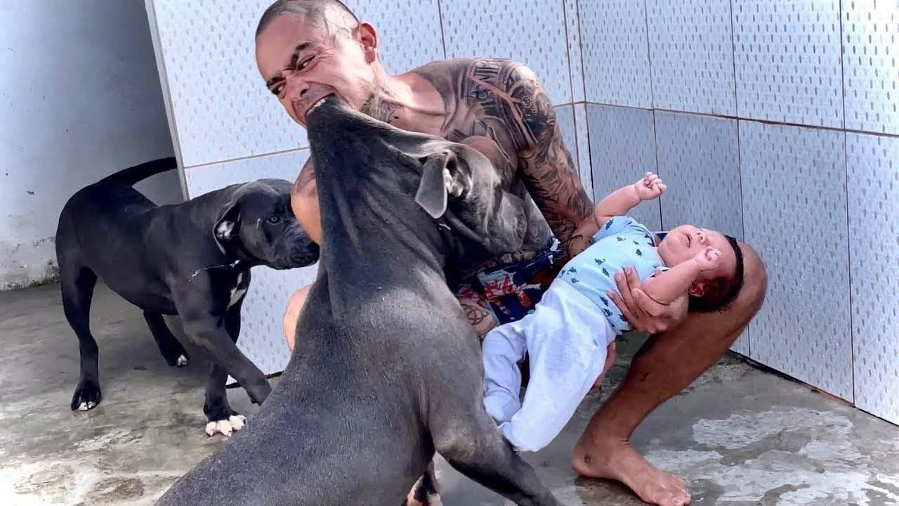 Hombre sostiene a un bebé mientras varios perros se encuentran muy cerca